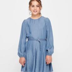 Target - Chambray Dress
