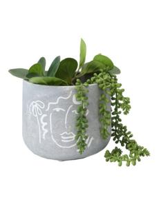 Myer - Contemporary Line-Face Flower Pot Planter in Grey