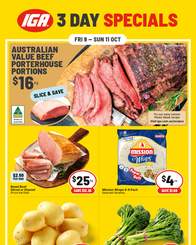 IGA catalogues